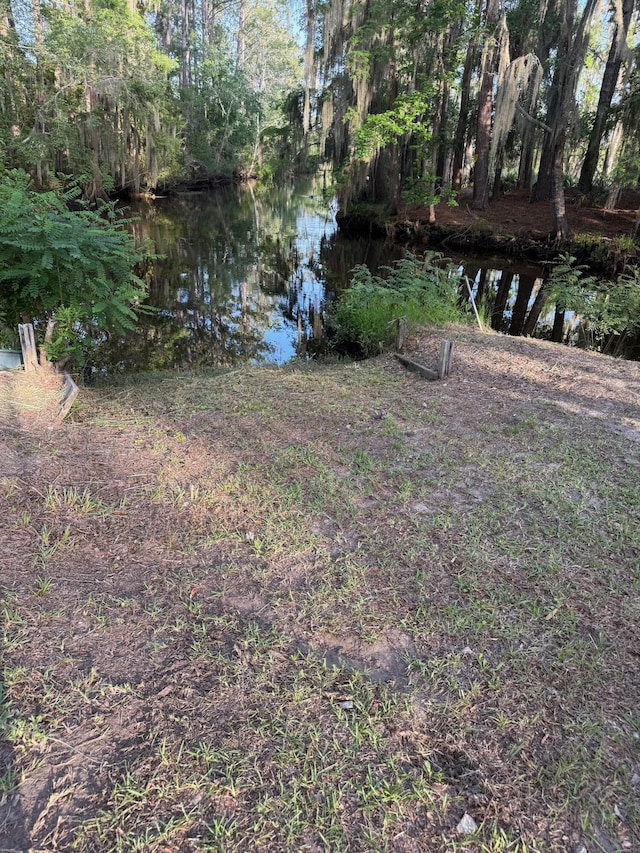 3637 Prices Bridge Ln, Walterboro, SC 29488 - view of yard with a water view