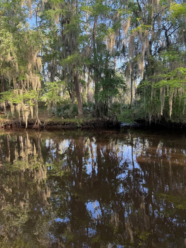 3637 Prices Bridge Ln, Walterboro, SC 29488 - water view