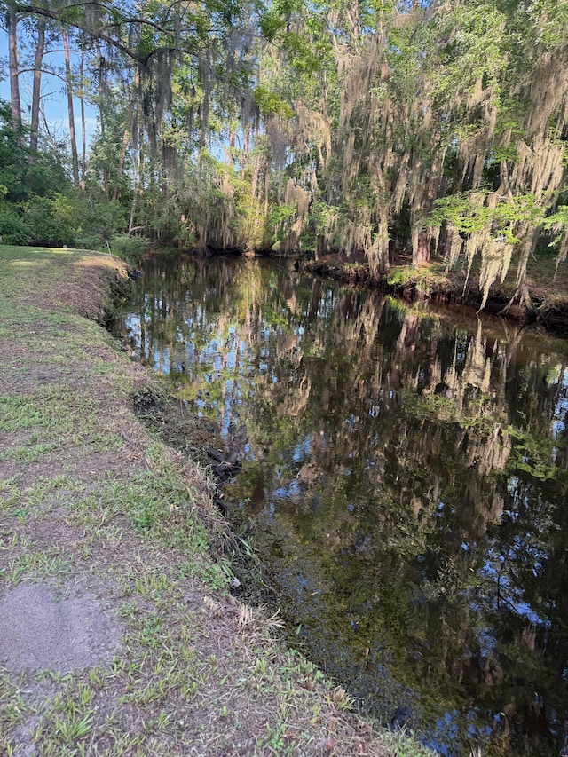 3637 Prices Bridge Ln, Walterboro, SC 29488 - water view