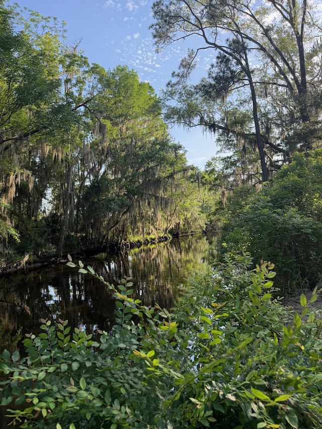 3637 Prices Bridge Ln, Walterboro, SC 29488 - view of nature