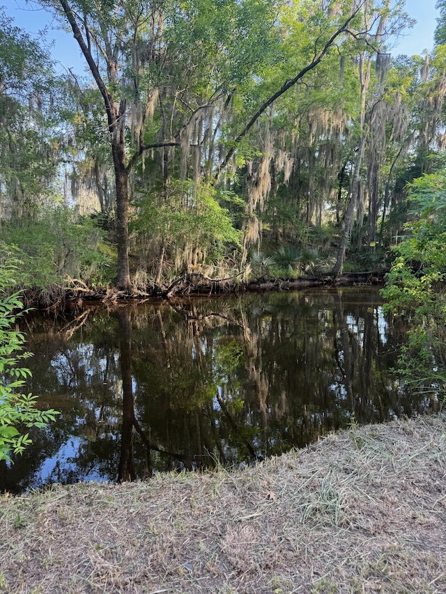 3637 Prices Bridge Ln, Walterboro, SC 29488 - water view