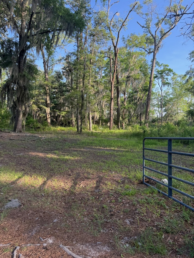 3637 Prices Bridge Ln, Walterboro, SC 29488 - view of yard featuring a gate