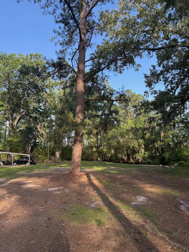 3637 Prices Bridge Ln, Walterboro, SC 29488 - view of yard featuring a carport