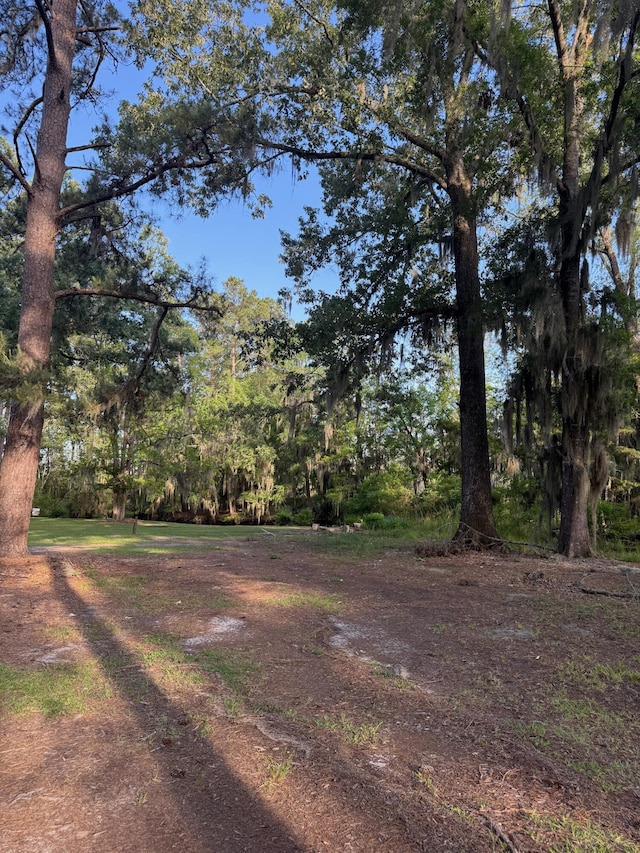 3637 Prices Bridge Ln, Walterboro, SC 29488 - view of yard