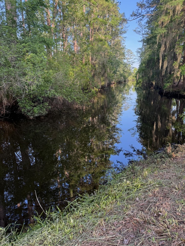 3637 Prices Bridge Ln, Walterboro, SC 29488 - water view