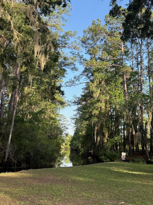 3637 Prices Bridge Ln, Walterboro, SC 29488 - view of grassy yard