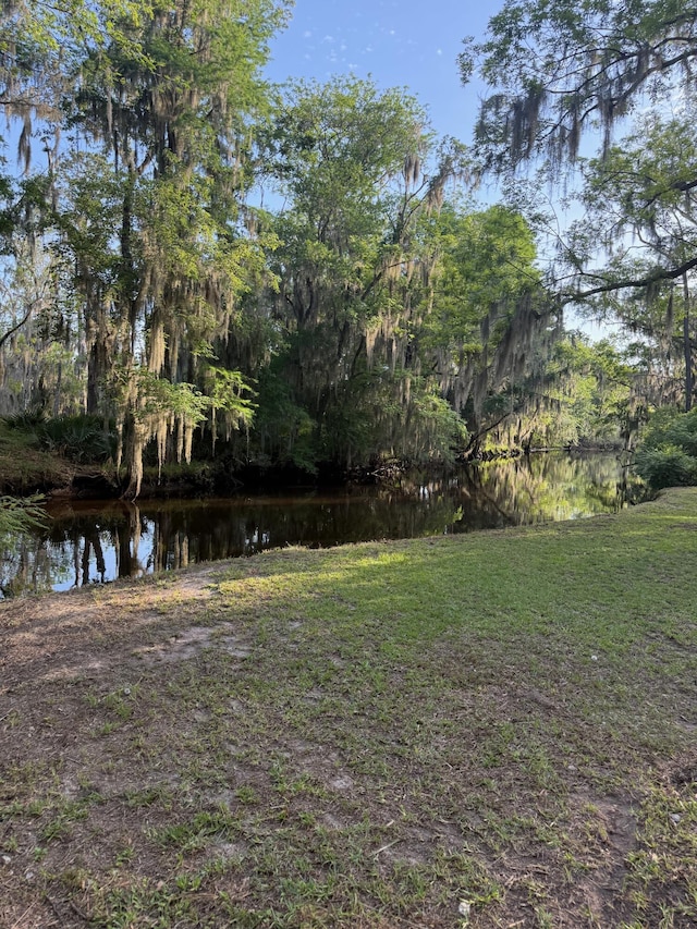 3637 Prices Bridge Ln, Walterboro, SC 29488 - view of grassy yard