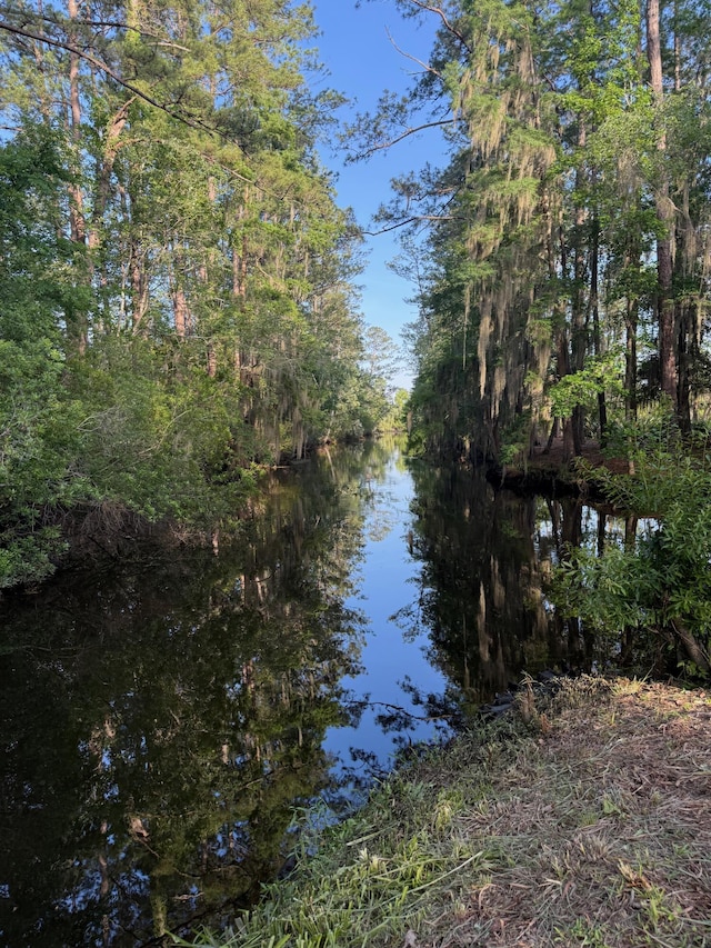 3637 Prices Bridge Ln, Walterboro, SC 29488 - water view