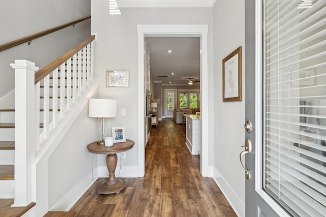 entryway with ceiling fan and dark wood-type flooring