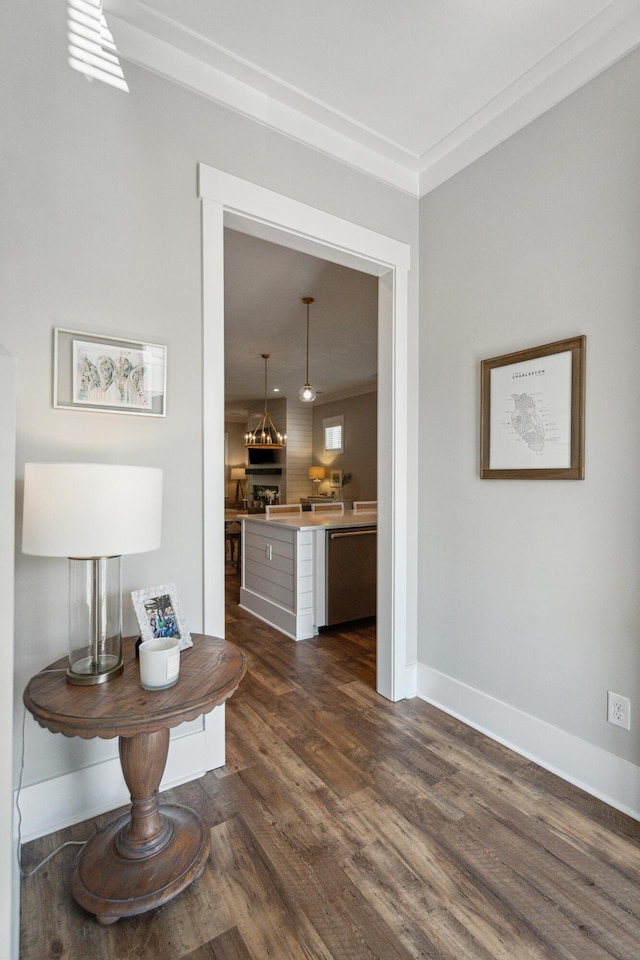 hallway featuring crown molding and dark wood-type flooring