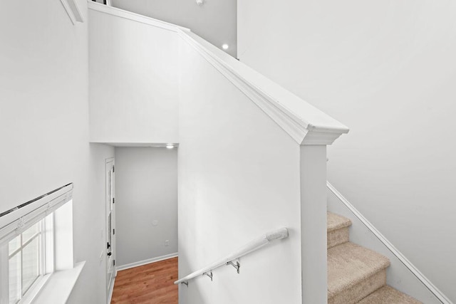 261 Celestial Blvd, Summerville, SC 29486 - staircase featuring wood finished floors and baseboards