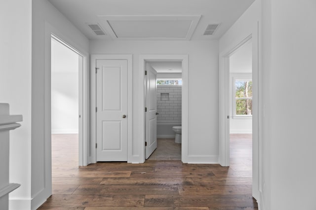 hallway featuring dark hardwood / wood-style flooring