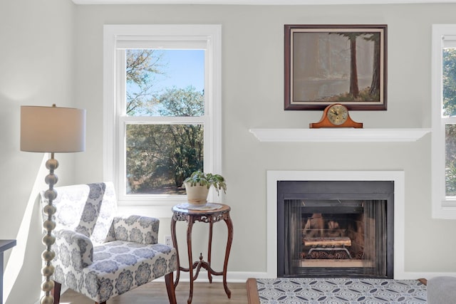 sitting room with wood finished floors and a fireplace