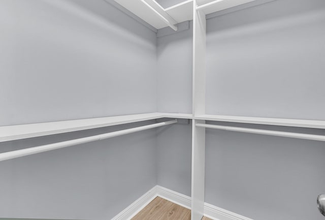 spacious closet featuring hardwood / wood-style flooring