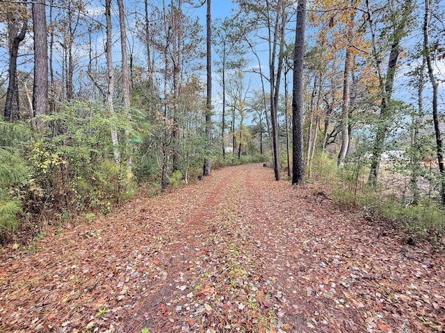 view of road