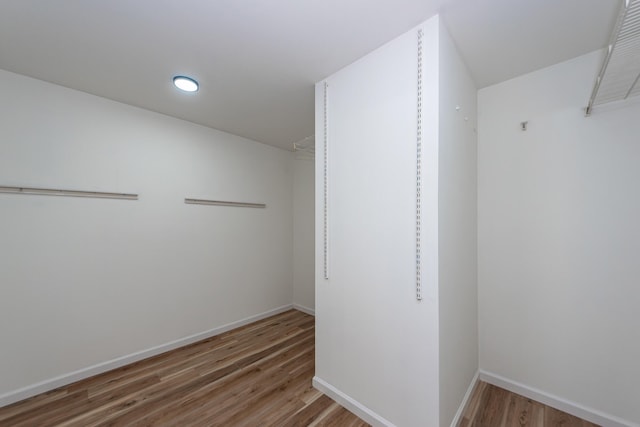 spacious closet featuring wood-type flooring