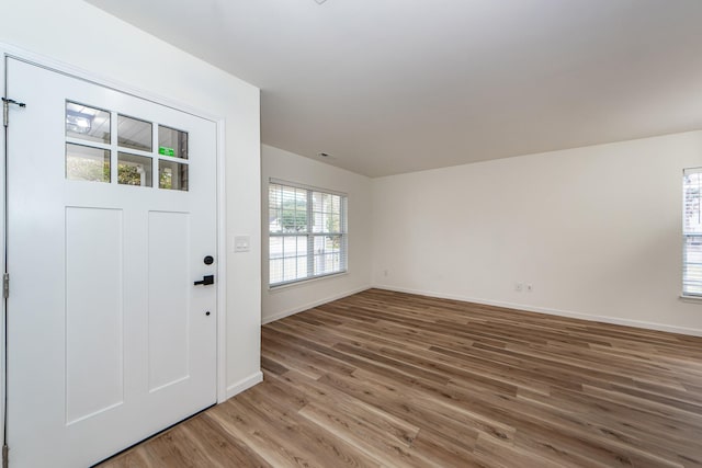 entrance foyer featuring wood-type flooring