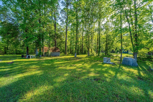 11341 Cottageville Hwy, Cottageville, SC 29435 - view of yard with an outdoor structure