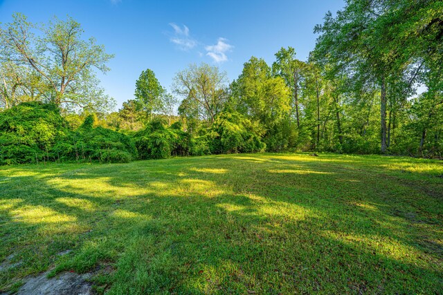 11341 Cottageville Hwy, Cottageville, SC 29435 - view of yard featuring a view of trees
