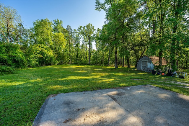 11341 Cottageville Hwy, Cottageville, SC 29435 - view of yard featuring an outdoor structure and a storage unit