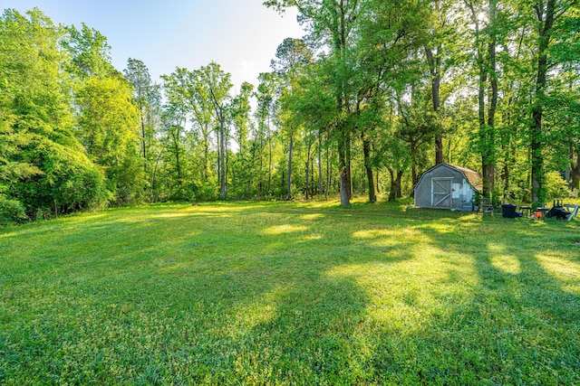 11341 Cottageville Hwy, Cottageville, SC 29435 - view of yard with an outbuilding and a shed