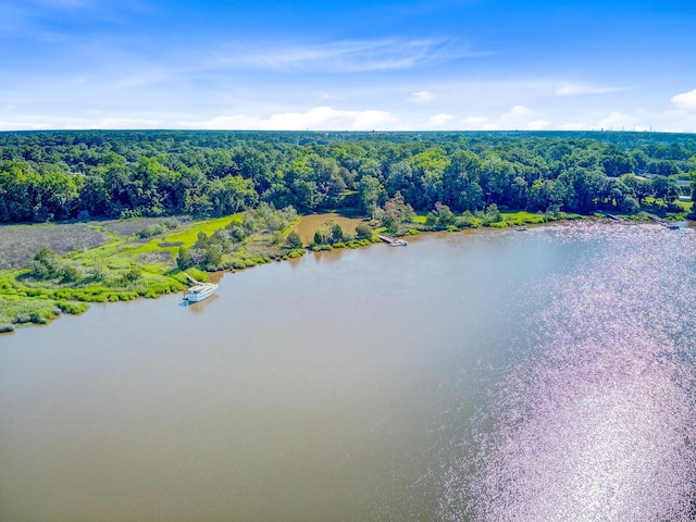 7074 W Constellation Dr, North Charleston, SC 29418 - aerial view of a large body of water and a heavily wooded area