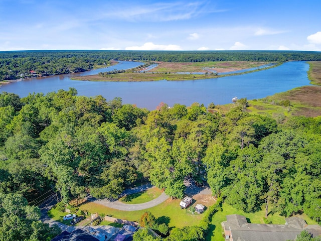 7074 W Constellation Dr, North Charleston, SC 29418 - drone / aerial view of a heavily wooded area and a nearby body of water