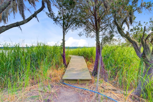 7074 W Constellation Dr, North Charleston, SC 29418 - view of home's community