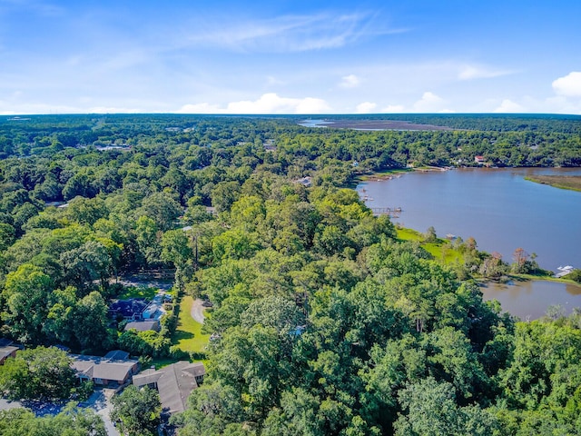 7074 W Constellation Dr, North Charleston, SC 29418 - view of property location featuring a heavily wooded area and a nearby body of water