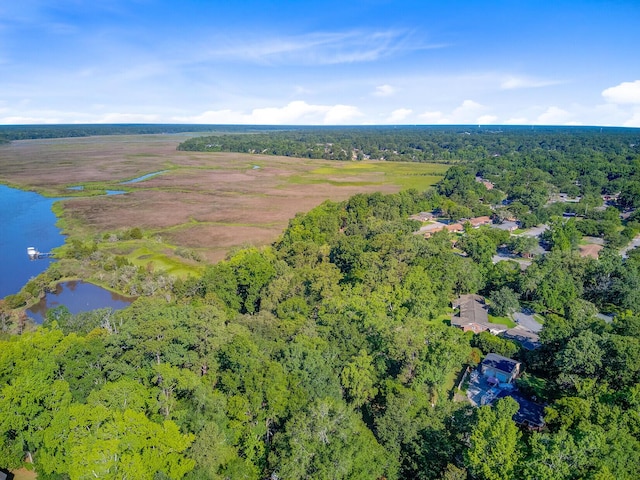 7074 W Constellation Dr, North Charleston, SC 29418 - aerial overview of property's location with a nearby body of water and a heavily wooded area