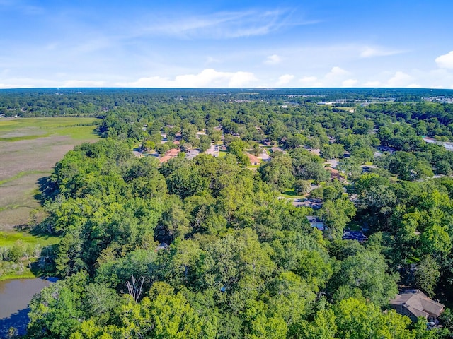 7074 W Constellation Dr, North Charleston, SC 29418 - aerial overview of property's location with a heavily wooded area