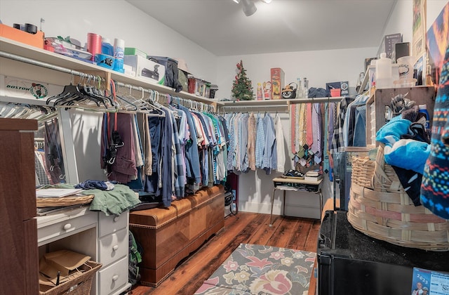 spacious closet featuring dark hardwood / wood-style floors