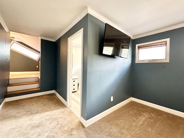 bonus room with carpet flooring