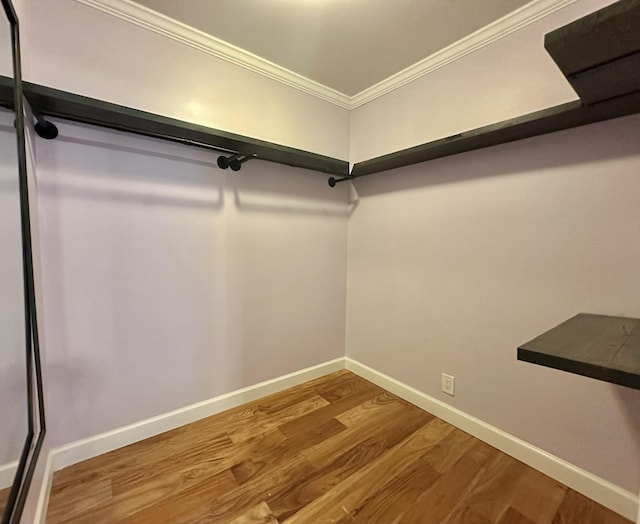 spacious closet with wood-type flooring