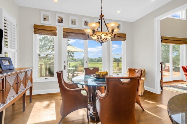 dining room with a notable chandelier and hardwood / wood-style flooring