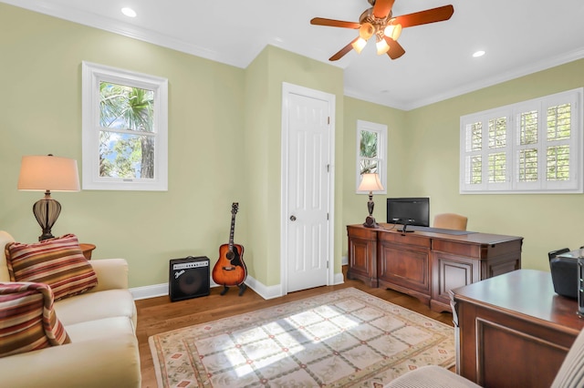 office space with light hardwood / wood-style flooring, ornamental molding, and ceiling fan