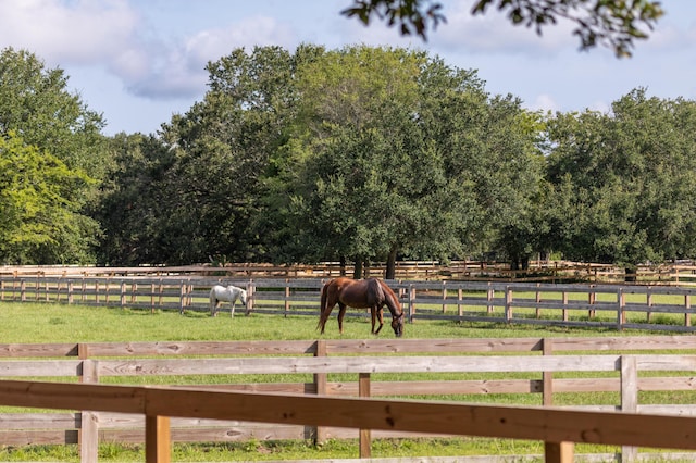 view of yard featuring a rural view