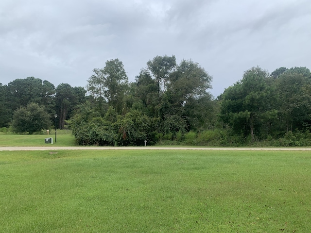 27 Blackbear Dr, Edisto Island, SC 29438