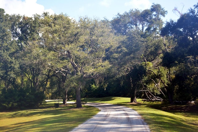 27 Blackbear Dr, Edisto Island, SC 29438