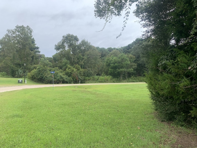 27 Blackbear Dr, Edisto Island, SC 29438