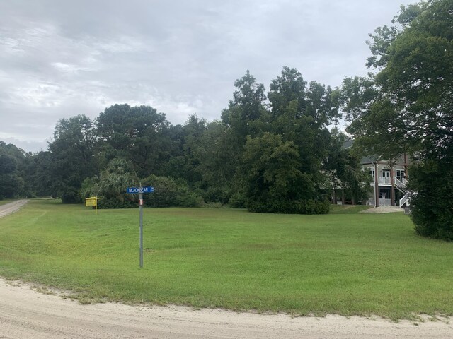 27 Blackbear Dr, Edisto Island, SC 29438