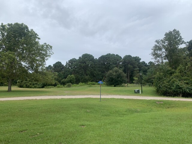 27 Blackbear Dr, Edisto Island, SC 29438