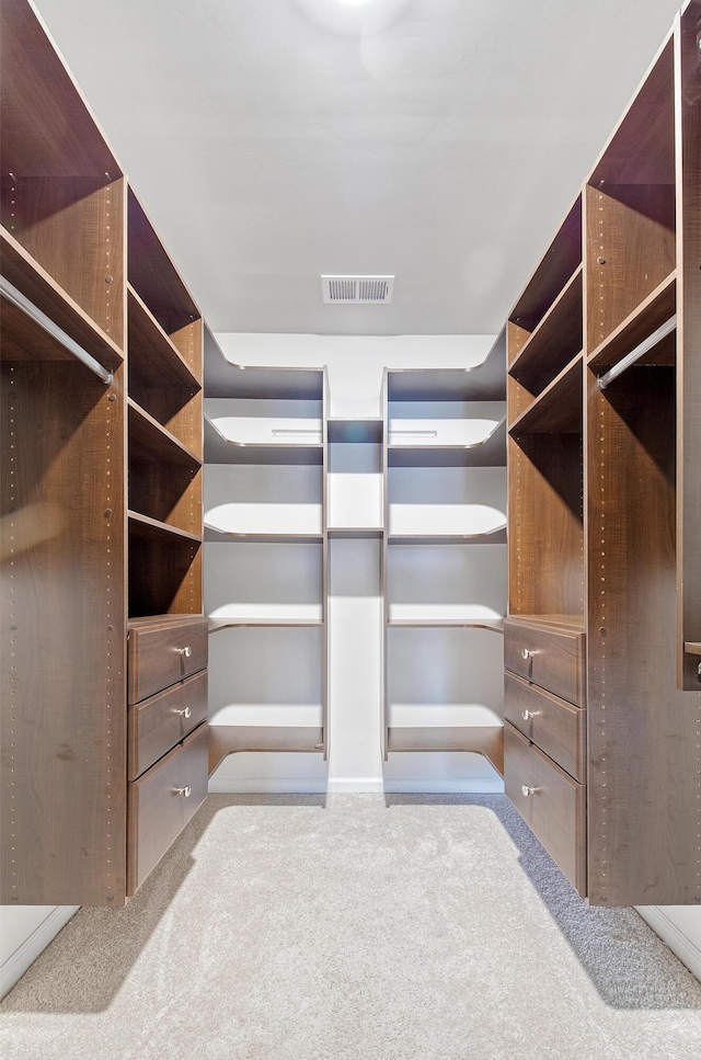 walk in closet with light colored carpet