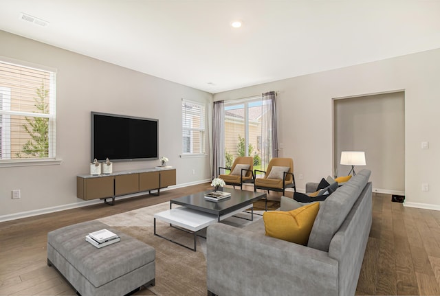 living room featuring hardwood / wood-style flooring