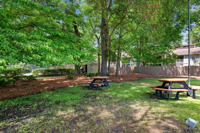 view of yard featuring a shed