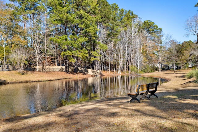 view of water feature