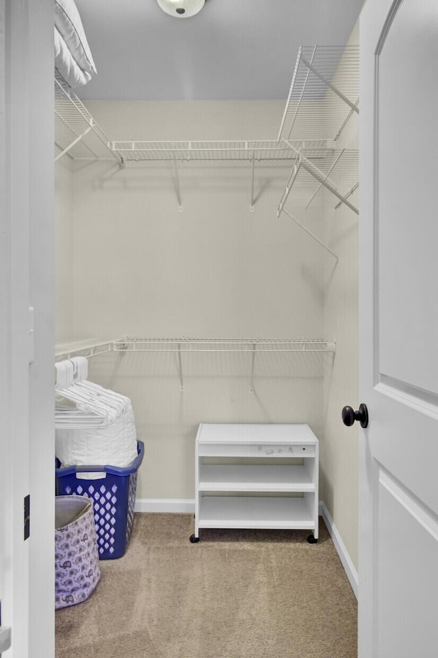 spacious closet with carpet floors