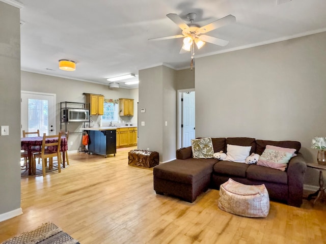 living room featuring light wood-type flooring, ceiling fan, and crown molding