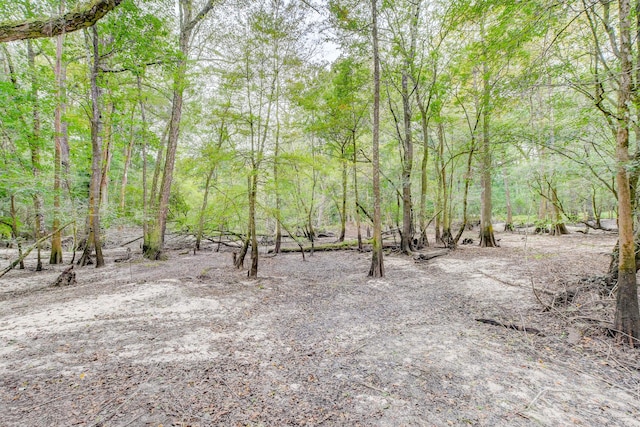 1373 Bridge St, Branchville, SC 29432 - view of wooded area
