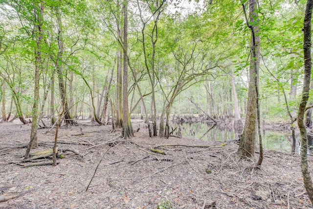 1373 Bridge St, Branchville, SC 29432 - view of wooded area